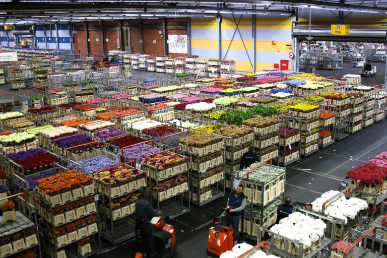 Monaco is elférne benne: így működik a világ legnagyobb virágpiaca