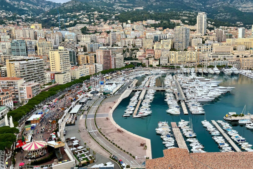 A világ 4 országa, ahol nincsenek természetes erdők