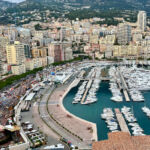 A világ 4 országa, ahol nincsenek természetes erdők