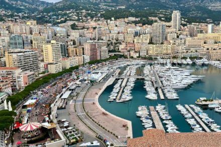 A világ 4 országa, ahol nincsenek természetes erdők