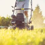 Pengeélen táncoló szomszédok: egyetlen csík fű, ami felrobbantotta az internetet